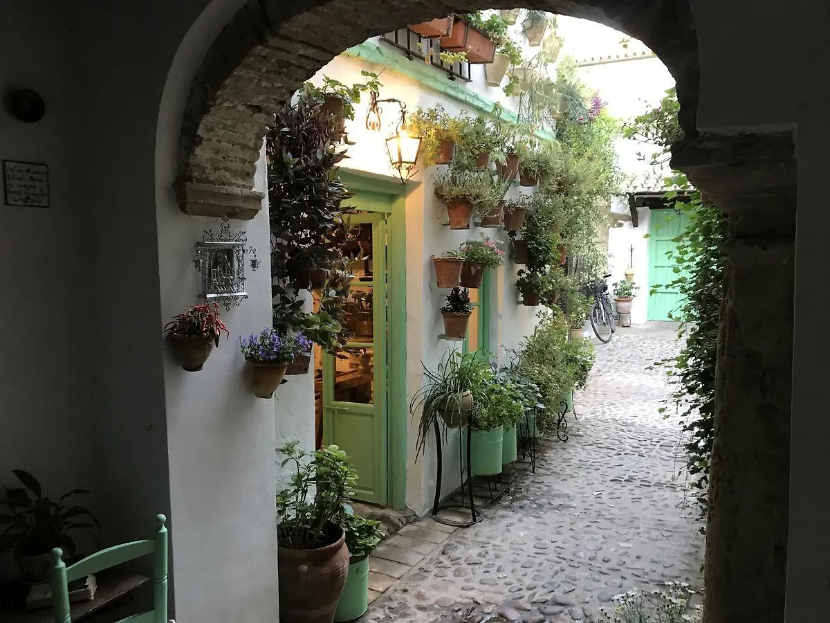 La Casa De La Costurera Apartment Cordoba