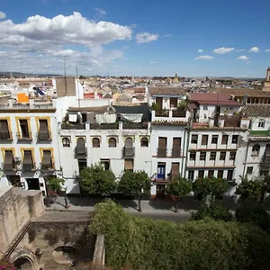 La Casa De Las Flores De La Juderia Apartment